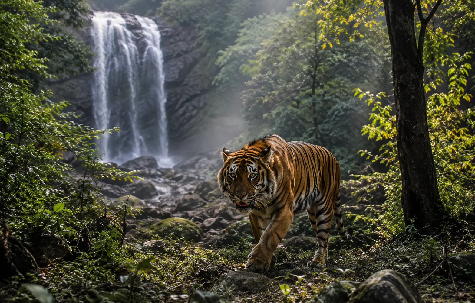 Simlipal National Park