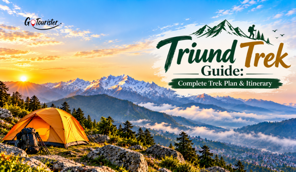 Triund Trek Guide: Route, Camping, Itinerary & Tips