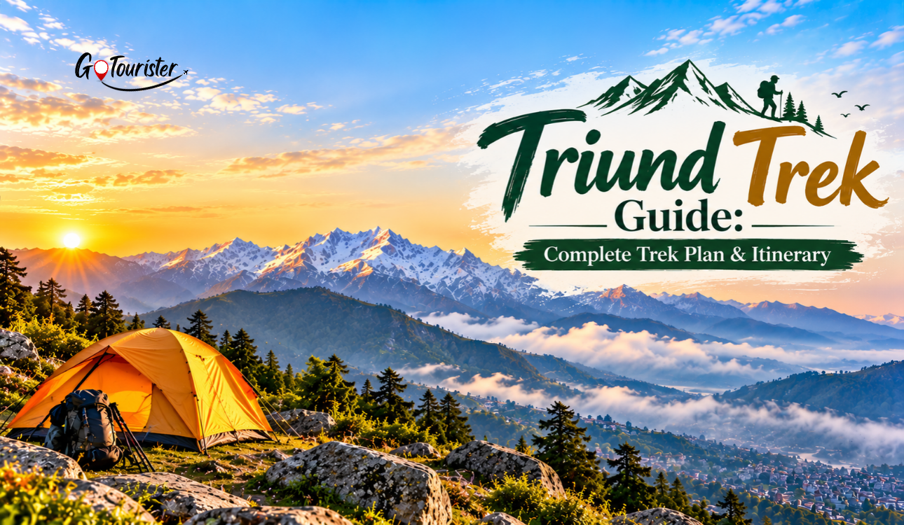 Triund Trek Guide: Route, Camping, Itinerary & Tips