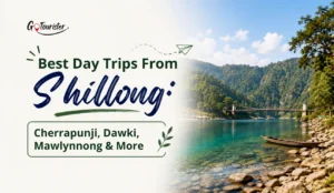 Best Day Trips From Shillong Cherrapunji, Dawki, Mawlynnong & More