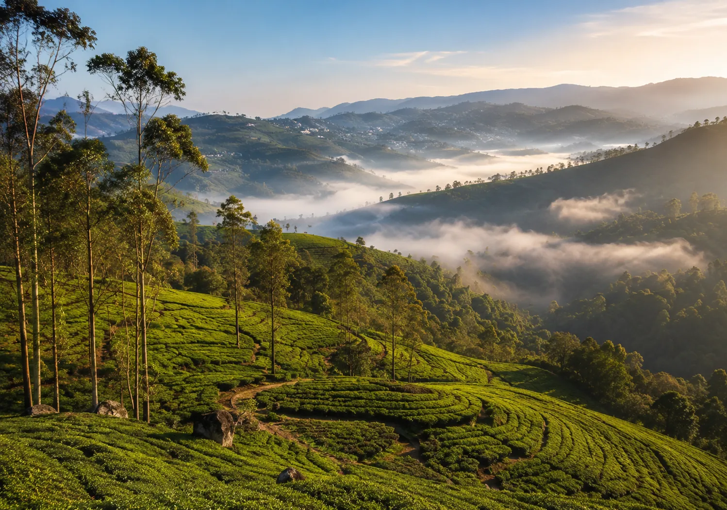 Ooty Tamil Nadu