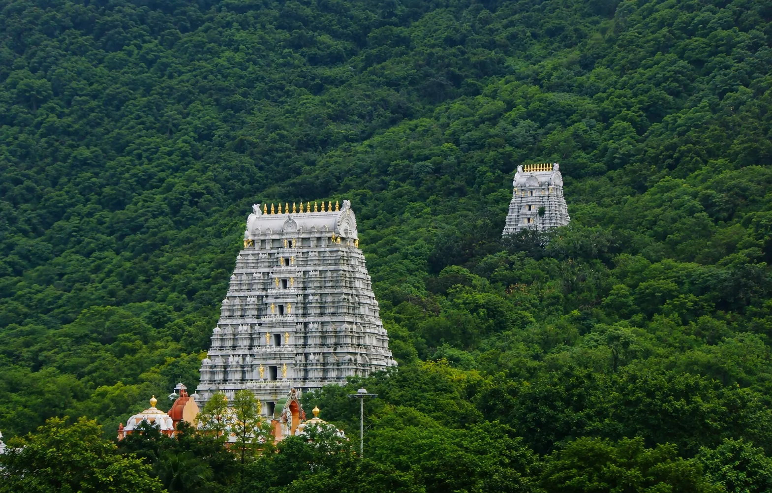 Tirumala hills and temple landscape