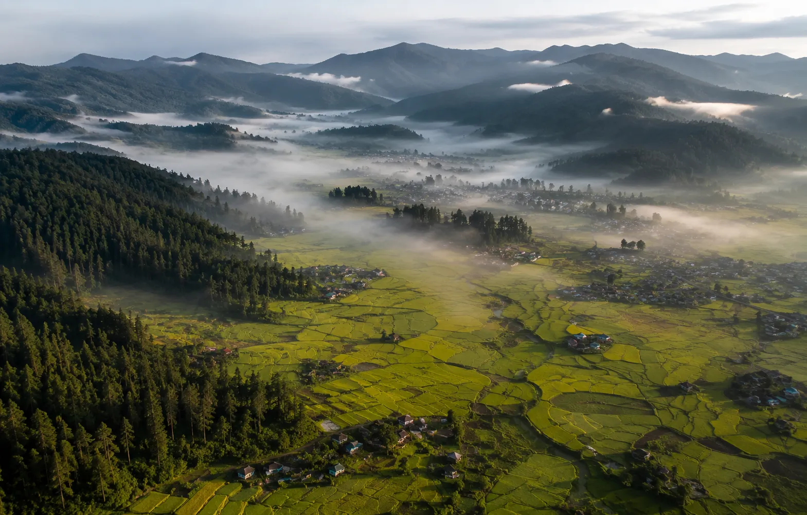 Ziro Valley