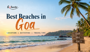 Best Beaches in Goa: Location, Activities & Travel Tips