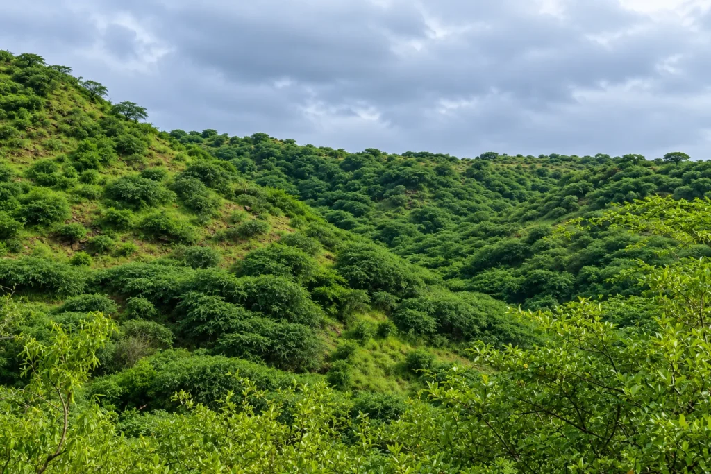 Monsoon season in bhuj image