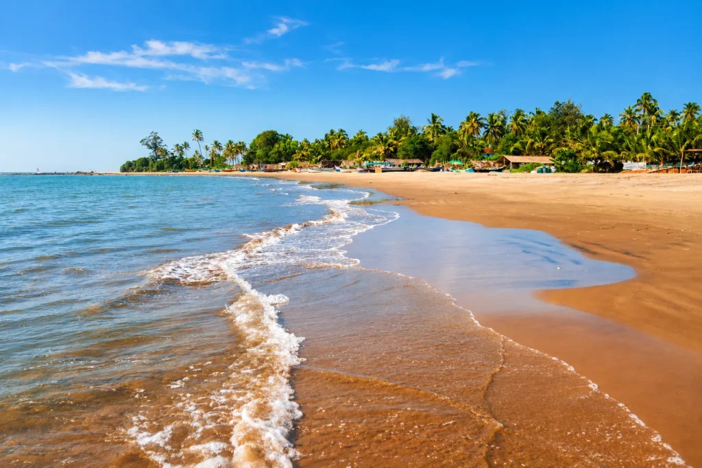 Morjim Beach — a quieter coastal village and turtle habitat