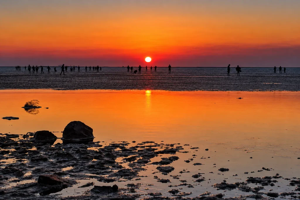Sunset 