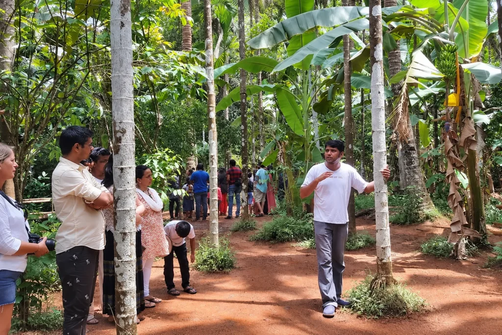 Visit a spice plantation