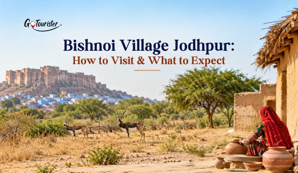 Bishnoi Village Jodhpur: How to Visit & What to Expect