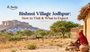 Bishnoi Village Jodhpur: How to Visit & What to Expect