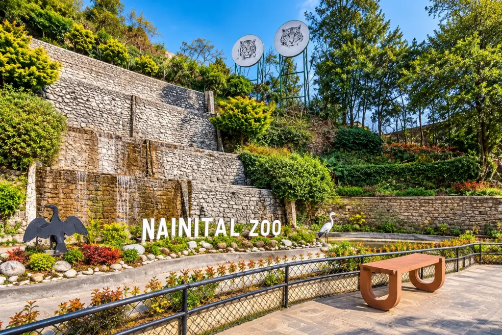 High Altitude Zoo