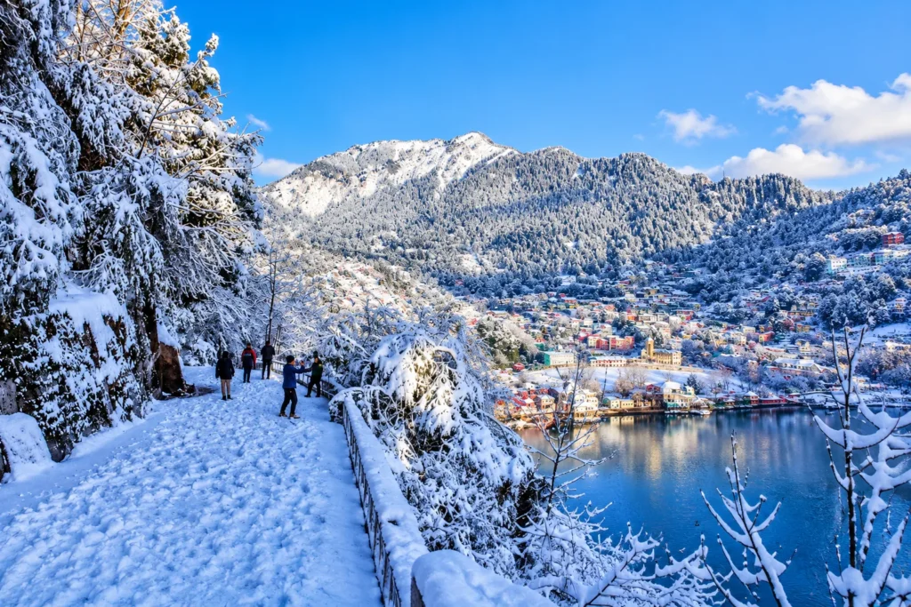 Snow View Point